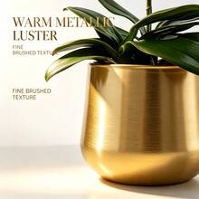 1pc Gold Metal Plant Pot, Brass Gardening Planter, Round Succulent Plant Container With Drainage Hole - Golden Vase - View 2
