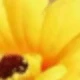 58712 Yellow
