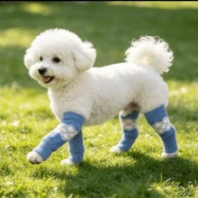 Pet Outdoor Dog Joint Socks Small Teddy Corgi Knee Pads Anti-Urine Anti-Dirt Non-Constricting All Season Use - Multicolor - View 6