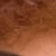 Brown Highlight