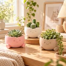 1pc Aesthetic 3D Printed Decorative Flower Pot, Unique Cute Succulent Planter, Multi-Functional Decor For Desk, Home Office, Garden And Yard - Multiple Styles - View 9