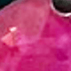 Iridescent Rose