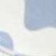 Blue and White