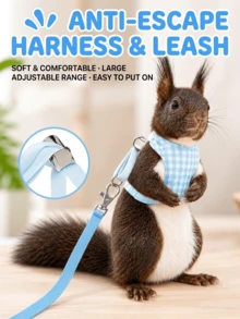 1pc Small Animal Harness & Leash Set, Escape-Proof Adjustable Plaid Vest-Style Cute Clothing, Outdoor Pet Walking Leash, Suitable For Squirrel, Guinea Pig, Ferret, Rat, Hamster, Prairie Dog Pet Accessories - Multicolor - View 1