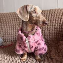 Autumn/Winter Thickened Double-Layer Warm Fleece Pet Pink Leopard Print Soft Coat For Cats And Dogs, Maltese, Abyssinian, Bichon Frise, Outdoor Cold-Proof, Machine Washable, High Quality - Pink - View 2