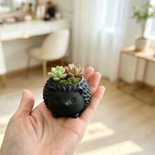 1pc Mini Hedgehog Planter Pot, 3D Embossed Spiky Texture, Suitable For Small Succulents & Air Plants, Delicate & Easy To Care For, Textured Gift Souvenir, Recommended For Gifting - Hedgehog - View 6