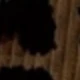 متعدد الألوان