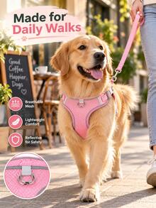 1 Set Harness & Tali Anjing Mesh Bernapas, Rompi Harness Hewan Peliharaan Lembut dengan Strip Reflektif yang Dapat Disesuaikan, Harness Jalan Ringan Anti-Lepas, Cocok untuk Anjing Sedang & Kecil untuk Perjalanan Harian Luar Ruangan Perlengkapan Hewan Peliharaan - Biru - View 3