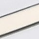 Silvery Mercury