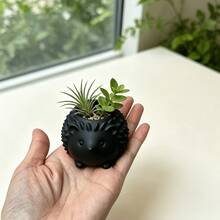 1pc Palm-Sized Animal Shaped Flower Pot Hedgehog Design Mini Planter Suitable For Gifts Study Room Vanity Small Succulent Planting Pot - Hedgehog - View 9