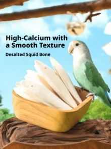 1pc Desalinated Cuttlebone Chew Toy And Beak Grinding Snack, Natural Calcium Supplement For Birds, Parrots, Reptiles And Turtles, Durable Hanging Cage Accessory, Daily Treat For Small Pets - 8-10 - View 1