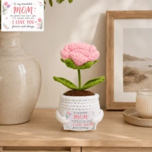 Chậu hoa hồng móc thủ công, quà tặng giáo viên "Cảm ơn vì đã giúp em trưởng thành", cây giả đan len, phù hợp trang trí bàn làm việc và nhà cửa - Hoa hồng - Xem 15