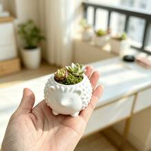 1pc Palm-Sized Animal Shaped Flower Pot Hedgehog Design Mini Planter Suitable For Gifts Study Room Vanity Small Succulent Planting Pot - Hedgehog - View 3