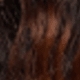 Orange Highlights