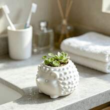 1pc Mini Hedgehog Planter Pot, 3D Embossed Spiky Texture, Suitable For Small Succulents & Air Plants, Delicate & Easy To Care For, Textured Gift Souvenir, Recommended For Gifting - Hedgehog - View 7