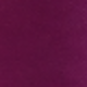 Sauce Purple