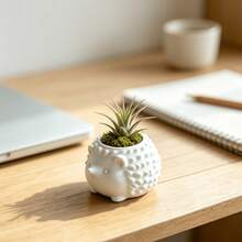 1pc Palm-Sized Animal Shaped Flower Pot Hedgehog Design Mini Planter Suitable For Gifts Study Room Vanity Small Succulent Planting Pot - Hedgehog - View 7