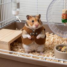 1/2/4pcs-Hamster Vest-A Cute, Mini Vest Designed Specifically For Small Animals Like Hamsters And Guinea Pigs. Features Metal Buckles; Serves As A Photo Prop; Adjustable. Small Pet Supplies And Apparel. - Multicolor - View 3