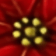 LL LSD010