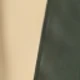 أصفر عاجي 1 أخضر دفاعي 1