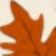 彩色