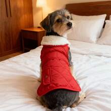 1pc Pet Warm Stylish Cute Fleece Jacket, Dog Clothes Cat Clothes Large Medium Small Size Pet Clothing - Multicolor - View 3