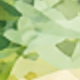Fruit Green