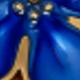 Bunga sakura biru