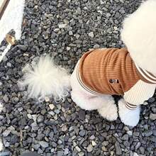 1pc Pet Ins Style Dog Baseball Jacket, Fashionable & Interesting Dog Pocket Embroidery Design, Autumn/Winter Cat & Dog Clothes - Brown - View 10