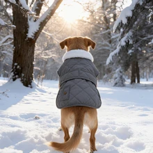 1pc Pet Warm Stylish Cute Fleece Jacket, Dog Clothes Cat Clothes Large Medium Small Size Pet Clothing - Multicolor - View 6
