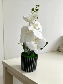1件裝人造蝴蝶蘭盆栽植物，居家裝飾小擺件，適用於辦公室、書桌、玄關櫃及其他桌面裝飾 - 白色 - 查看 9