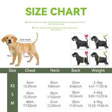 1pc Sweet Plaid Ruffle Pet Dress, Bow Collar Design, Princess Style Small Dog Outfit, Suitable For Chihuahua, Teddy, Bichon Frise And Other Small Dogs Daily Wear, Birthday Party, Photoshoot - Multicolor - View 2