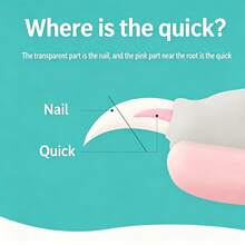 Pet Nail Clipper Cat Dog Nail Trimmer Beginner Friendly Anti-Bleeding Line Nail Cutter With File Grooming Supplies - A - View 10