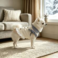 1pc Sweet Plaid Ruffle Pet Dress, Bow Collar Design, Princess Style Small Dog Outfit, Suitable For Chihuahua, Teddy, Bichon Frise And Other Small Dogs Daily Wear, Birthday Party, Photoshoot - Multicolor - View 4