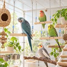 20/24/28cm Bird Swing,Wooden Parrot Perch Swing, Hanging Bird Toy For Cage, Durable Bird Stand For Cockatiels Budgies Lovebirds And Small Parrots - A - View 5