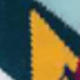 Multicolor