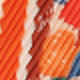 Coral Orange