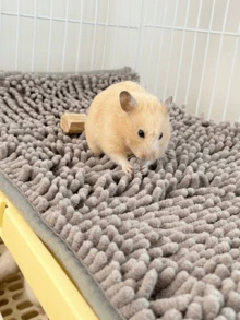 1pc Chenille Small Animal Cage Mat, Super Absorbent & Washable, Guinea Pig Mat, Soft Microfiber Pet Bed Pad, Pee Pad, Sleeping Mat, Suitable For Hamster, Rat, Rabbit, Hedgehog, Pet Cage Decoration Accessory - A - View 8