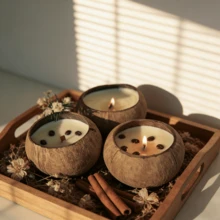1pc Pure Natural Coconut Shell Scented Candles, Coconut Milk & Coffee Scent, Holiday Decorations, Holiday Candles, Suitable For Birthday Gifts, Souvenirs And Small Gifts, Desktop Decorations And Interior Decorations, Shooting Props Decoration - Multiple Styles - View 4