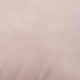بيج