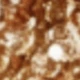 Champagne