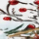متعدد الألوان