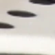 黑與白