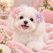Kẹp tóc thú cưng ngẫu nhiên 5/10/20 cái, phù hợp cho chó và mèo, kẹp tóc nơ và hoa dễ thương, phụ kiện cún con nhẹ, phù hợp cho chó nhỏ, phụ kiện chăm sóc thú cưng, dùng đeo hàng ngày và chụp ảnh - Nhiều màu - Xem 5