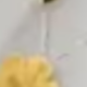彩色
