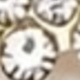 A Sunflower White