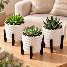 3 Vasos Cachepot Suspenso Decorativo Moderno Para Suculentas - Branco - Visão 4
