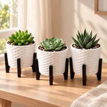 3 Vasos Cachepot Suspenso Decorativo Moderno Para Suculentas - Branco - Visão 3