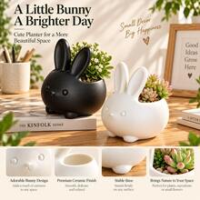 1pc Cute Rabbit Shaped Succulent Planter, Minimalist Cute Desktop Flower Pot, Suitable For Small Plants, Modern Home And Office Decor, Black And White Available - Cute Rabbit-shaped Succulent Pot - View 2
