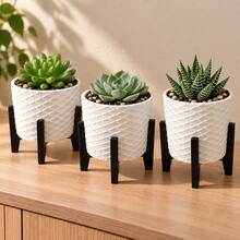 3 Vasos Cachepot Suspenso Decorativo Moderno Para Suculentas - Branco - Visão 2